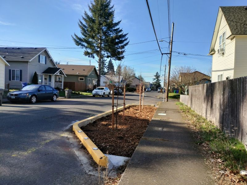 PPR - tree planted in curb bump out on neighborhood street