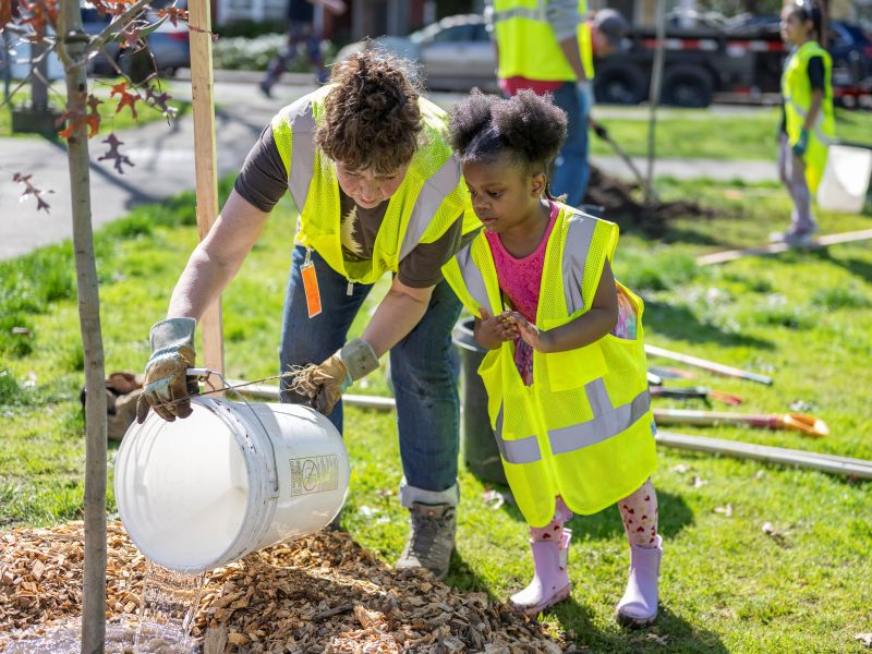 PPR - Child watches adult water small tree with a white bucket