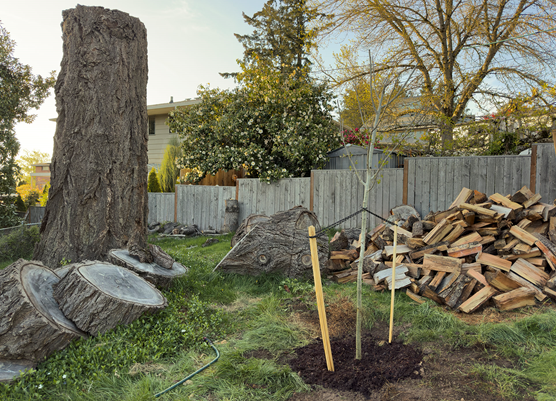 UF - CS - Permitting Article Photo