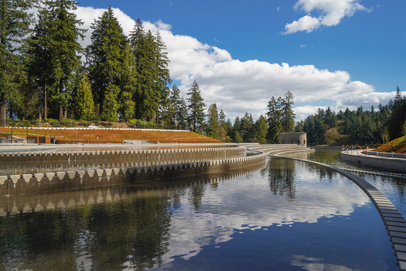 Washington Park Reservoir reflecting pool 2025