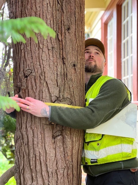 UF - CS - Staff Measuring Tree