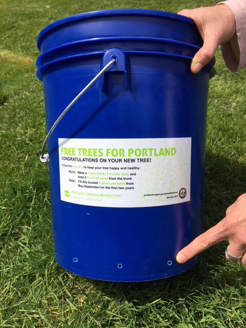 UF - CS - Watering Bucket