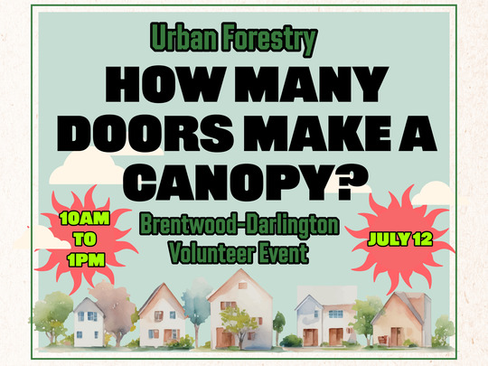 UF - CS - Brentwood Volunteer Event