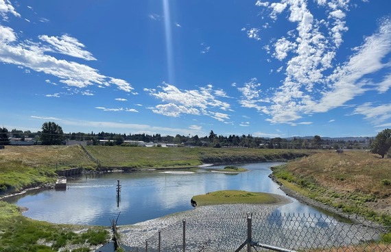 A natural wetland sparkles in the sunshine. A fence is visible in the foreground.