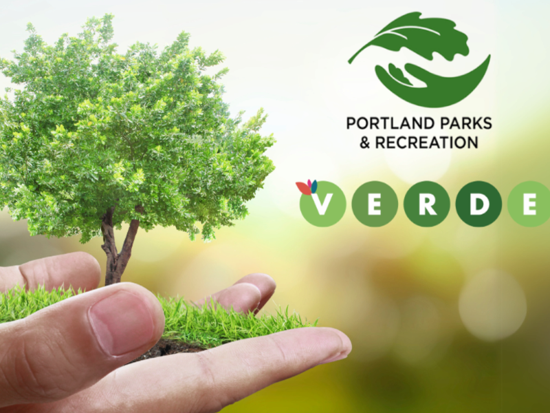 PPR - Hands holding small planted tree in hand