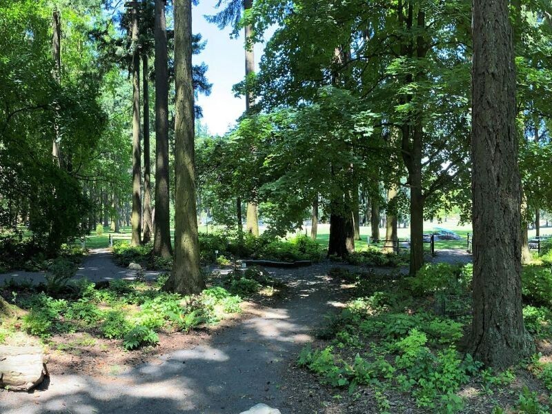 PPR - Path in park lined with greenery and big trees 