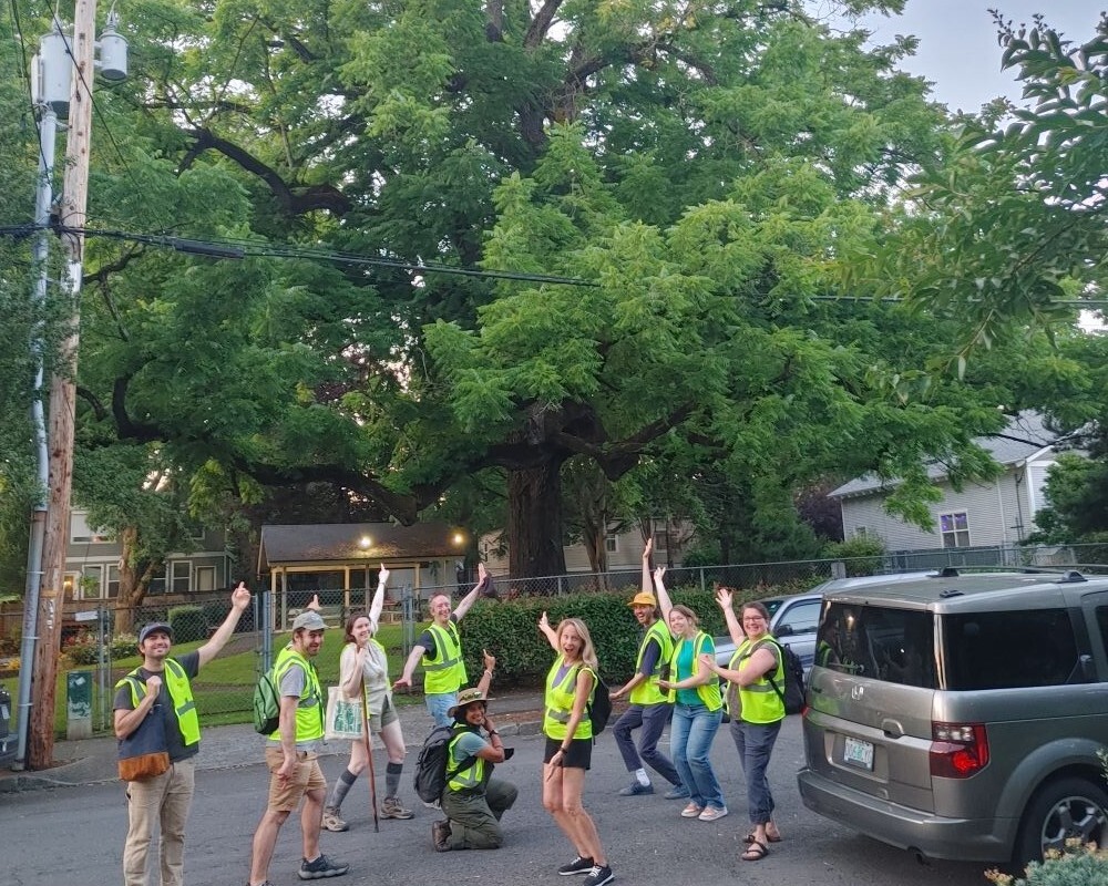 PPR - Group of people in yellow safety vests pointing at large tree 