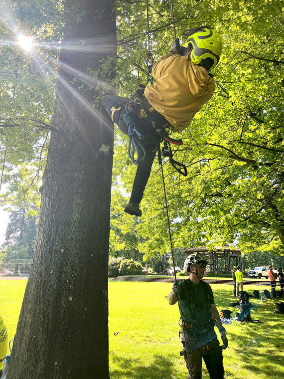 Urban Forestry training shows a person hanging from a belay alongside a tree