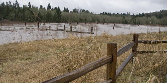 Flooding in the Foster floodplain