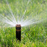 Sprinklers watering a grass lawn; irrigation