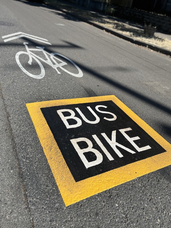 Pavement markings showing a white, bike sharrow with white “Bike Bus” text encircled with yellow and black below it.