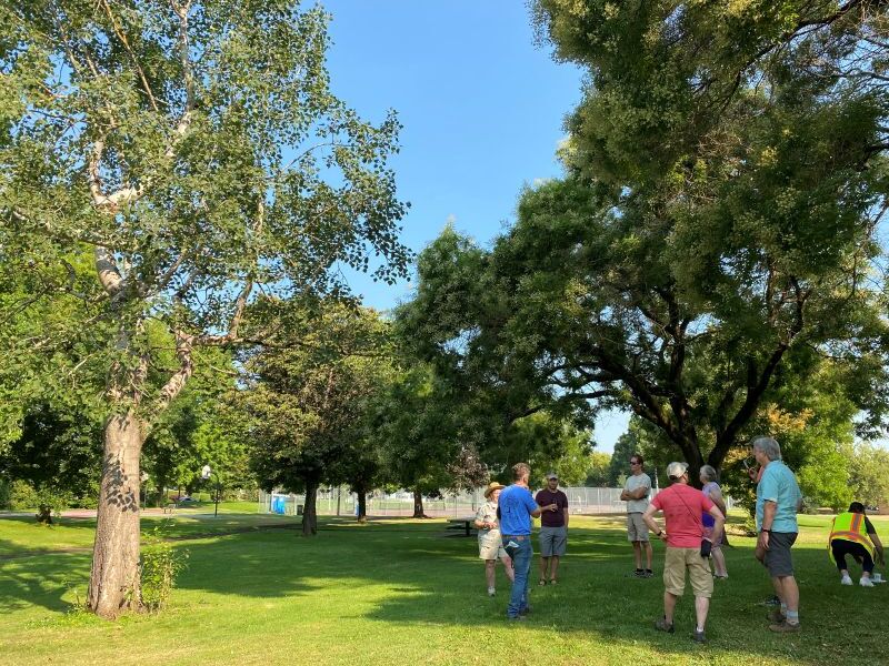 PPR - People in park staring a big tree