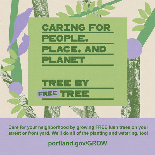 PPR- mailer for free street trees program