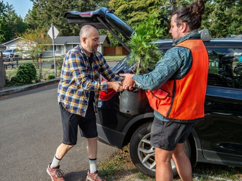 PPR - person loading small potted tree in car