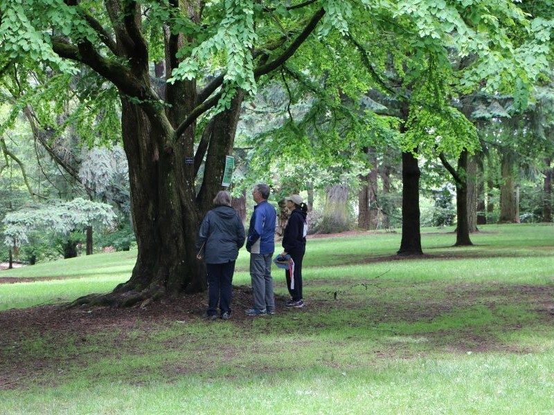PPR - three people looking at a tree in a park