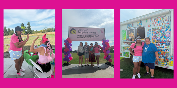 D1 People's Picnic Banner