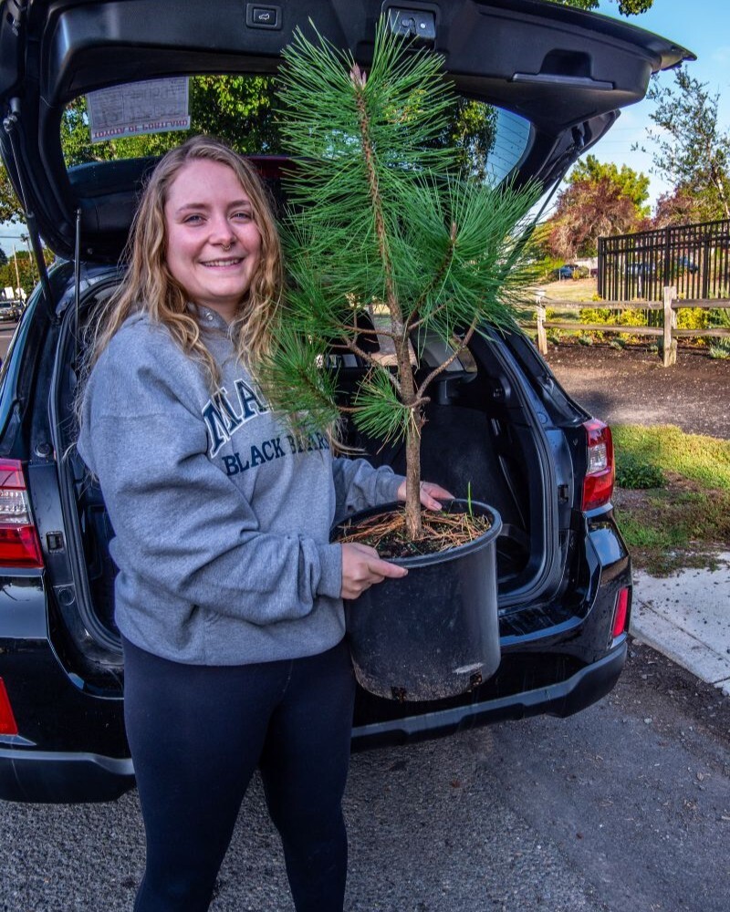 PPR - woman smiling with small potted tree in front of a car with the trunk open