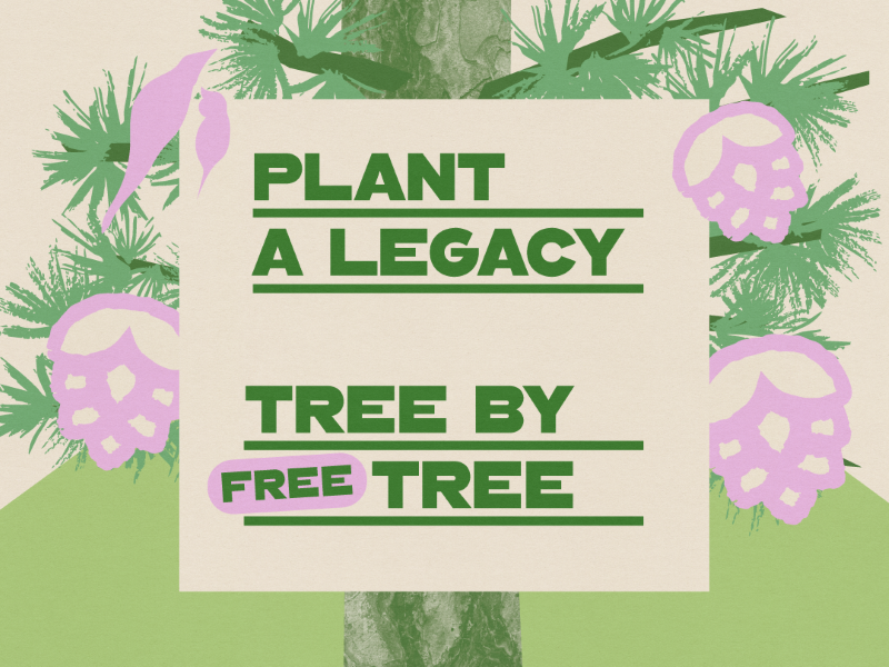 PPR - Green flyer with a cartoon tree that says plant a legacy tree by tree