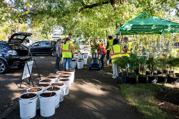 Yard Tree giveaway volunteers