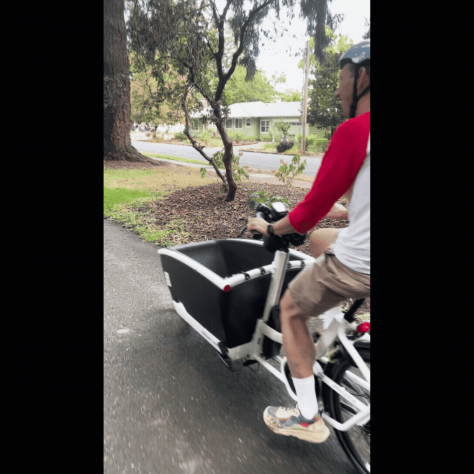 An adult rides a bike through a leafy park.