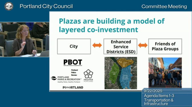 Sarah Figliozzi presents to city councilors.