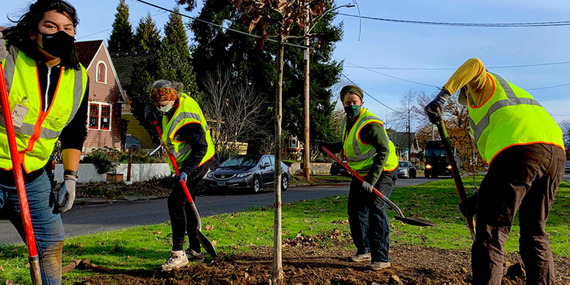 Volunteers planting a tree