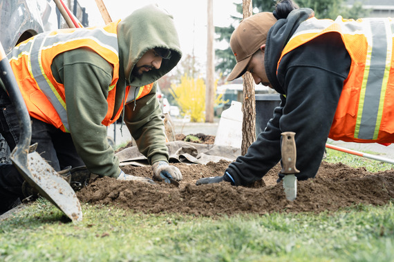 Two people crouched on the ground plant a tree