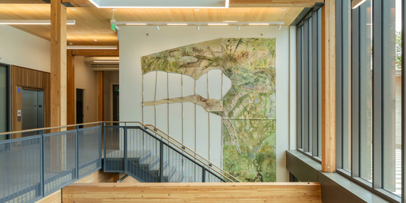 Understory by Isabella Saavedra