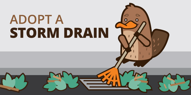 Illustration of a platypus raking leaves away from a storm drain with the text "Adopt a storm drain."