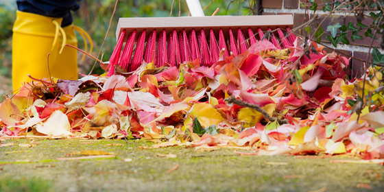 Fall leaves being swept by a large broom.