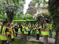 PPR - Group of people in yellow vests looking at a tree