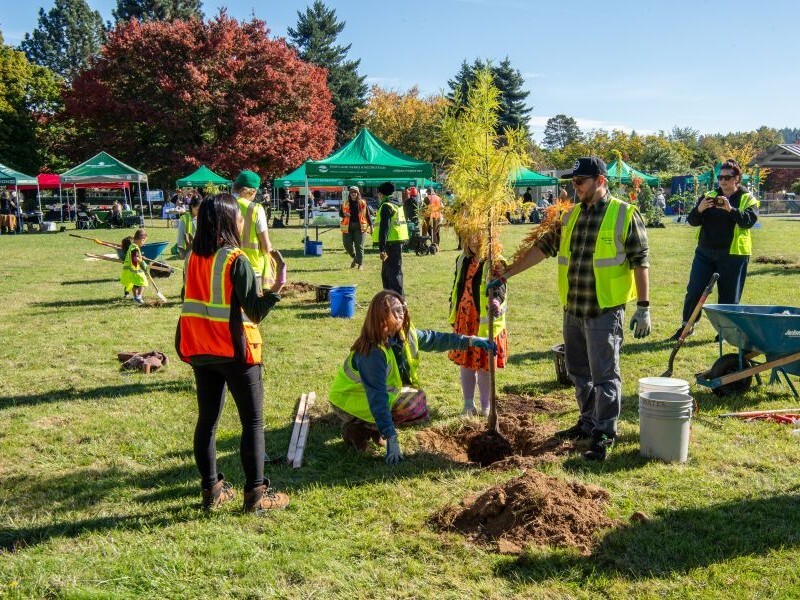 PPR - Group of people planting small tree in park