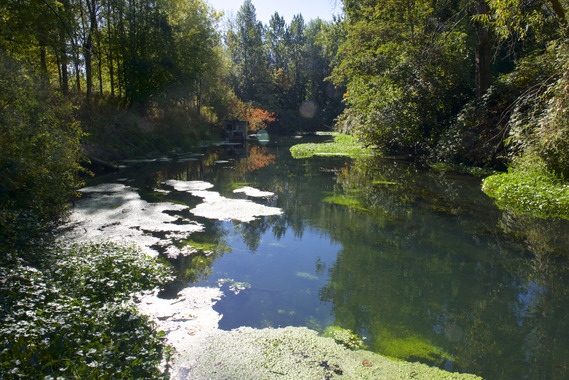 Columbia River corridor