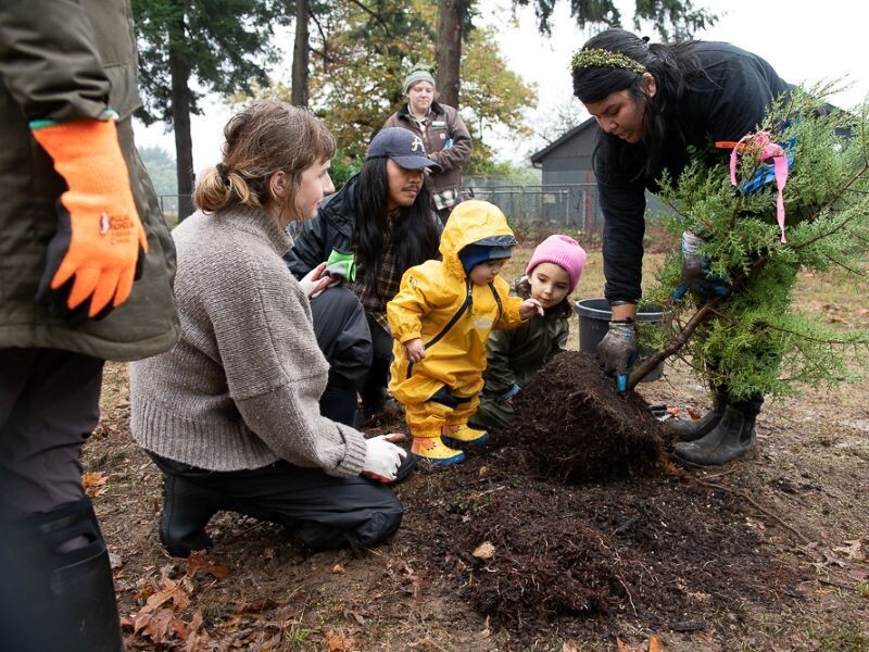 PPR - Five adults and two children look at the base of a small tree before planting 