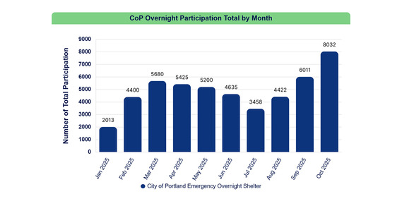 Overnight shelter data graph