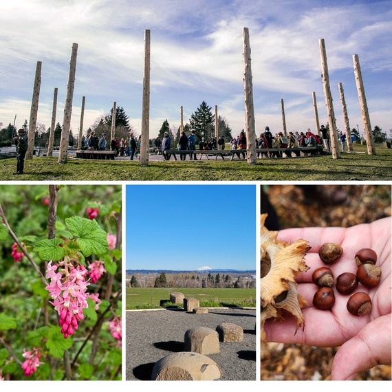 Collage shows the Native Gathering Garden and its flowers, circular areas with large boulders, and nuts