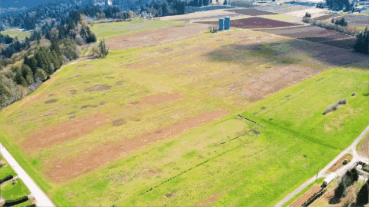 Water Filtration Site Progress 102025 gif