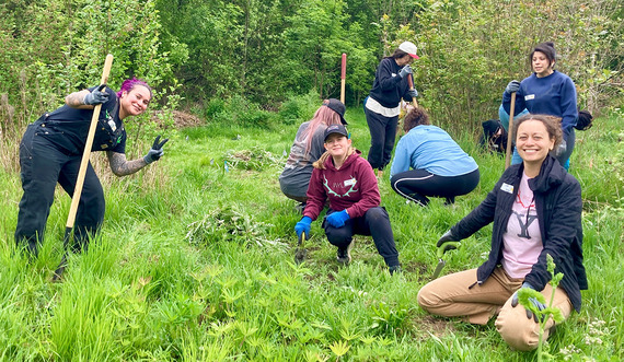 Volunteers at Wilkes Creek planting event