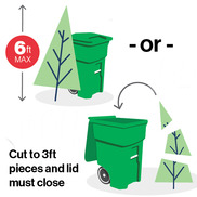 Graphic shows Christmas tree being composted