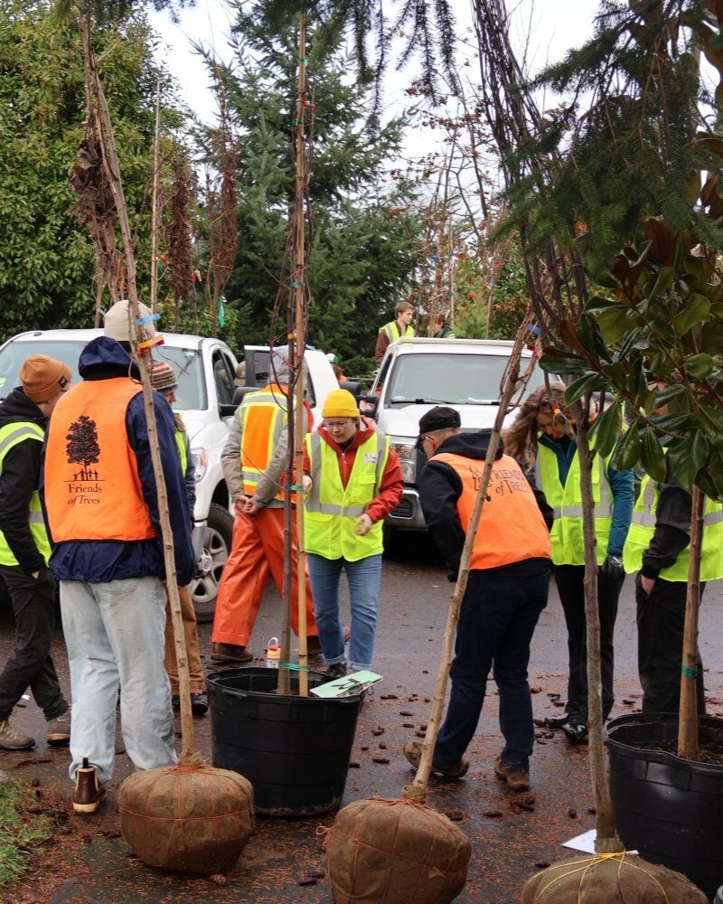 PPR - Group of people looking at large potted trees in a parking lot