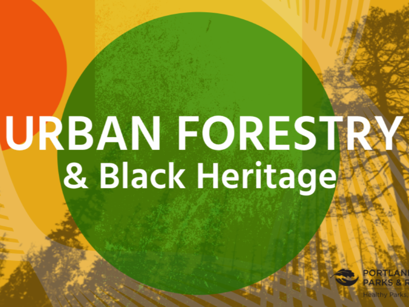 PPR - White wording over green circle and yellow background saying Urban Foresty and Black Environmentalism