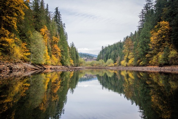 Bull Run watershed - fall colors