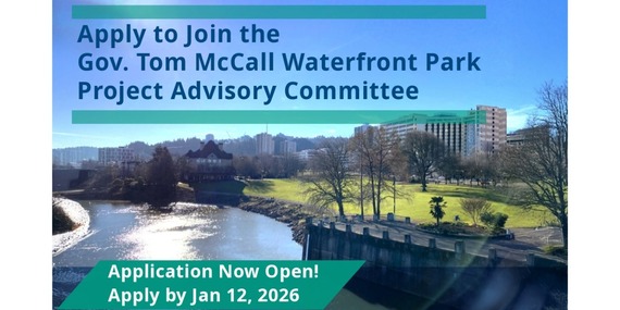McCall Waterfront Park committee graphic