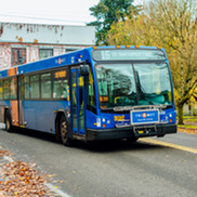 Trimet bus