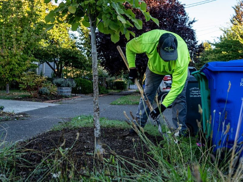 PPR- Person in yellow shirt shoveling mulch around a small tree near a blue recycling bin 