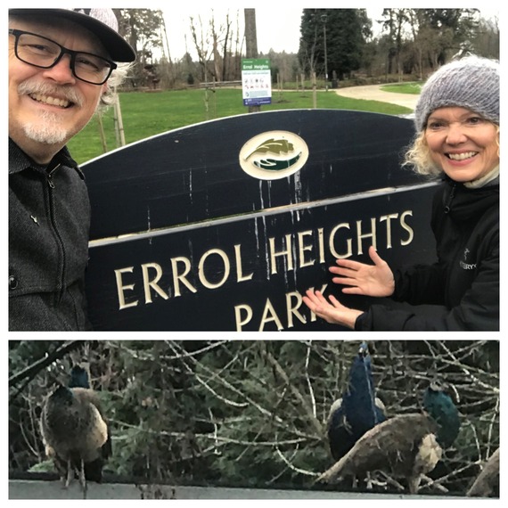 Errol Heights