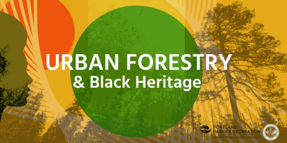 Urban Forestry Presents: Black Tree Stories