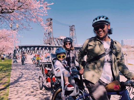 Two adults ride with young children on theirs along the waterfront path in Portland during the cherry blossom bloom.
