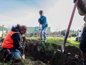 PPR - Three people use shovels to dig a hole 