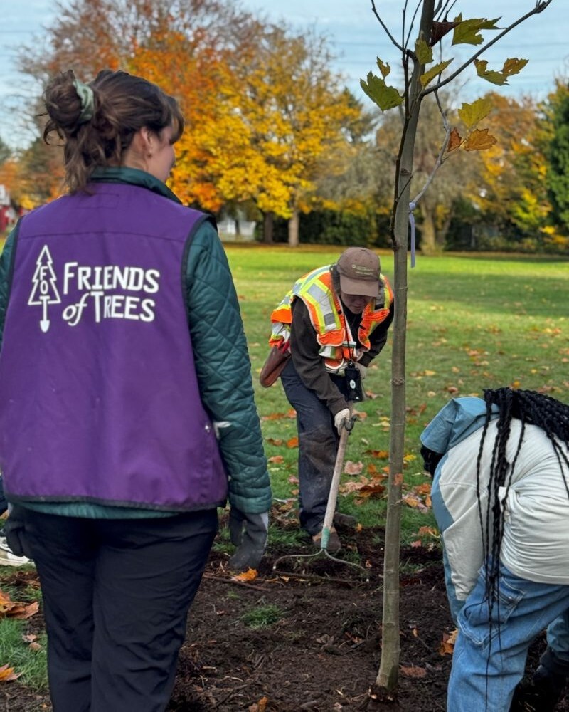 PPR - One person rakes mulch with a shovel while two others watch